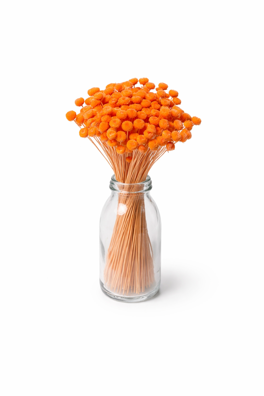 Knöpfchen | Orange