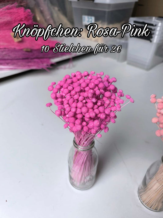 Knöpfchen | Rosa-Pink
