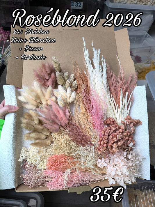Roséblond 2026