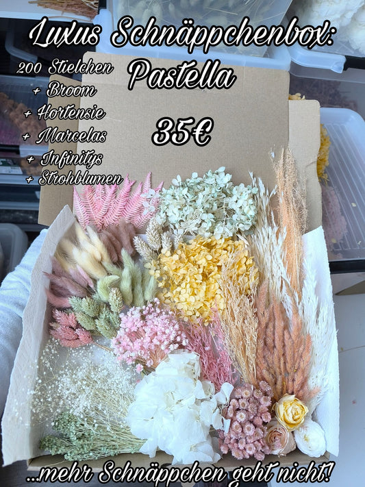 Luxus Schnäppchen-Box | Pastella