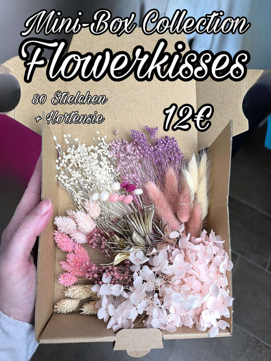 Mini-Box Collection | Flowerkisses