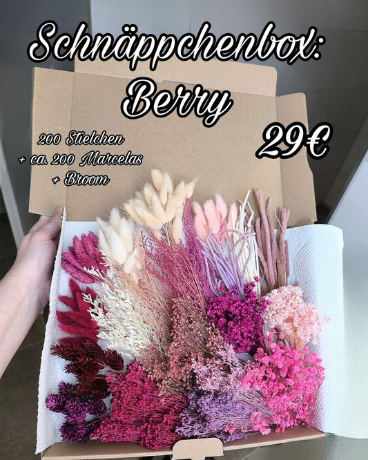 Schnäppchenbox Berry