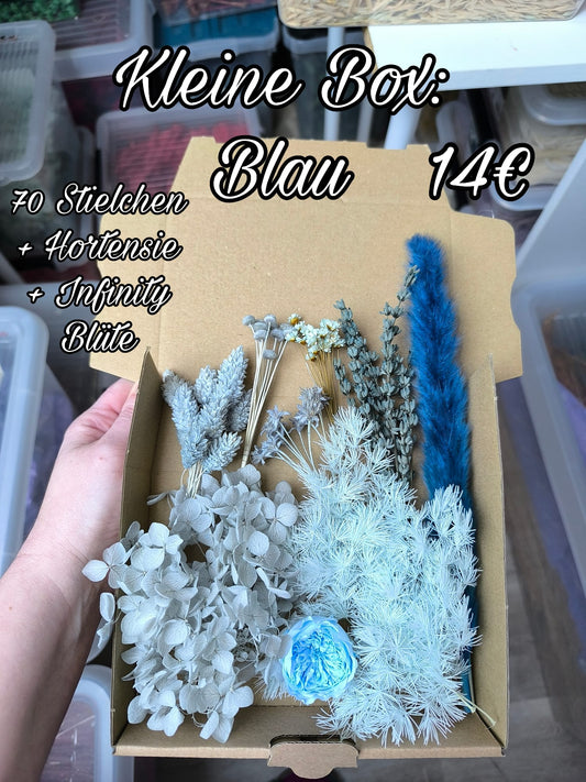Kleine Box | Blau