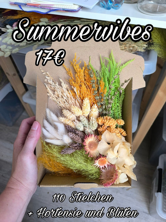 Box | Summervibes