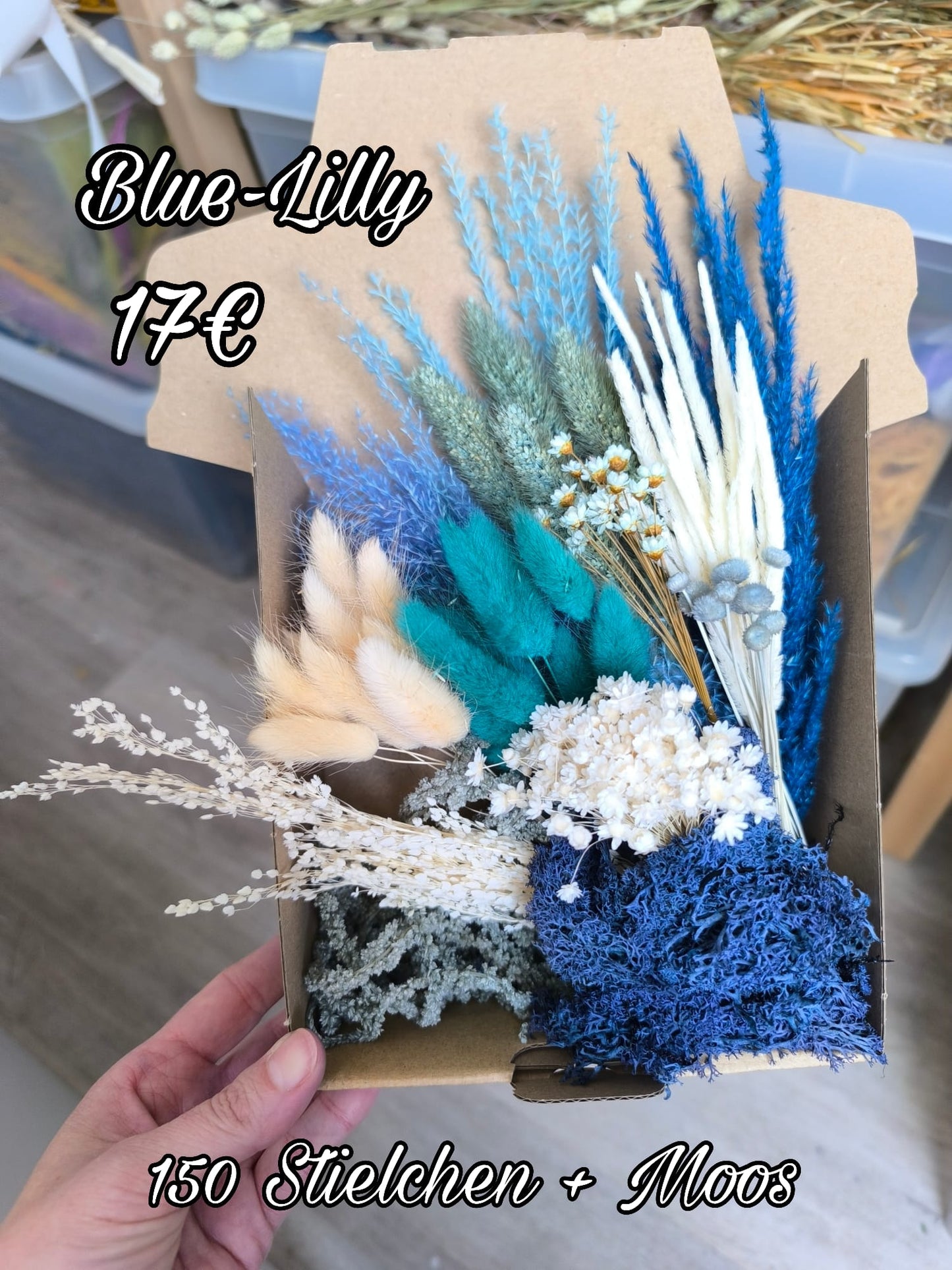 Box | Blue-Lilly