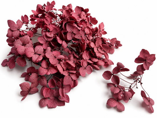 Hortensie | Rosenholz