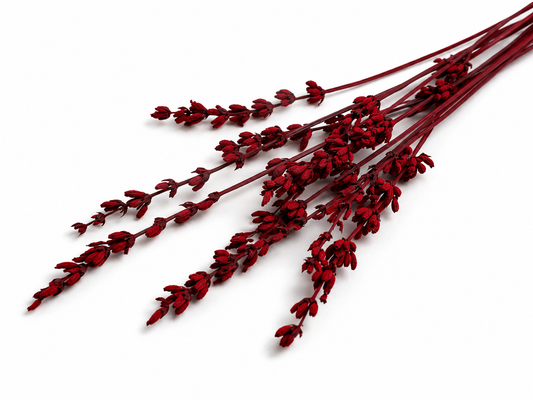 Lavendel | Rot