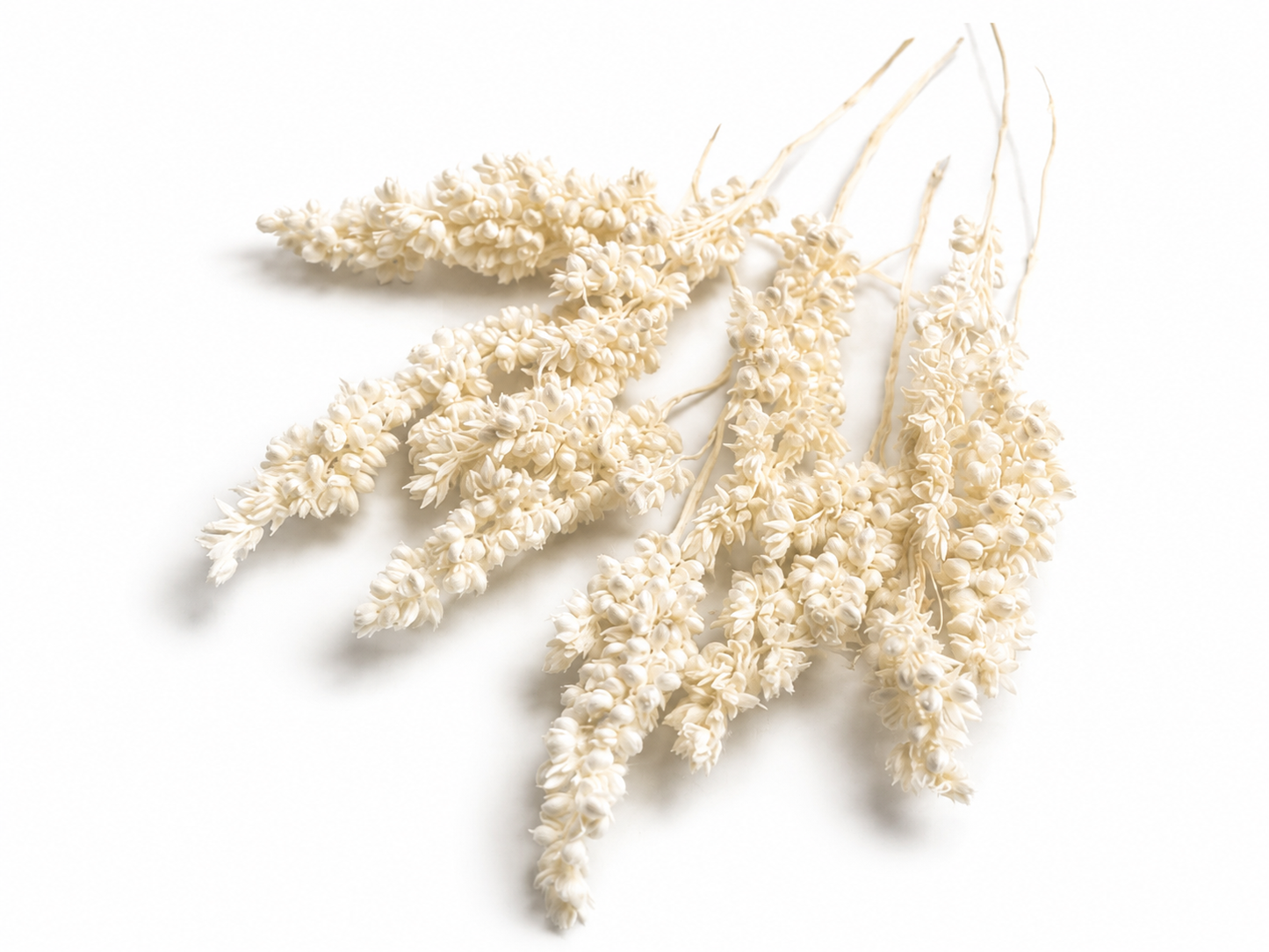 Rice | Weiß