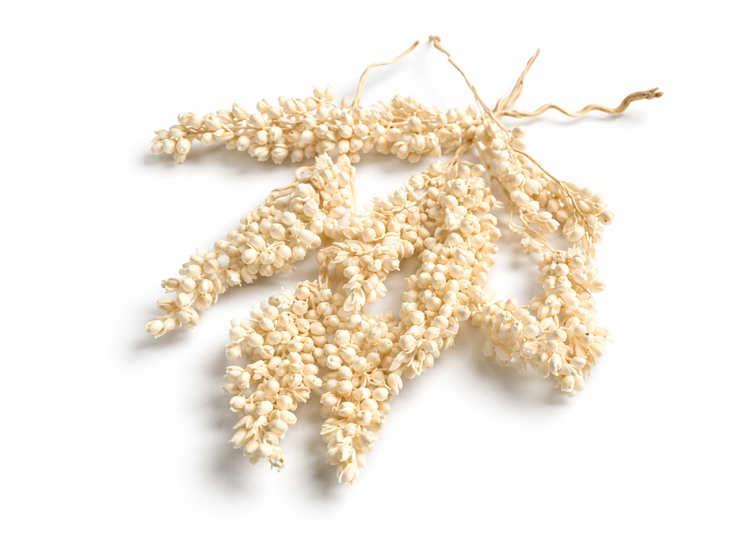 Rice | Beige