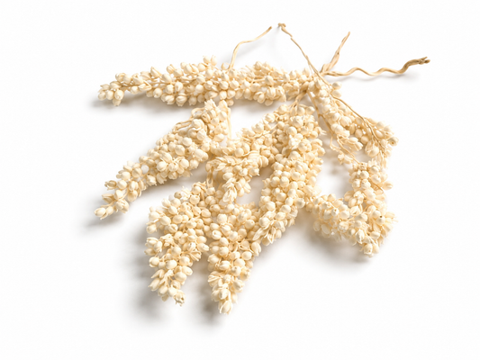 Rice | Beige