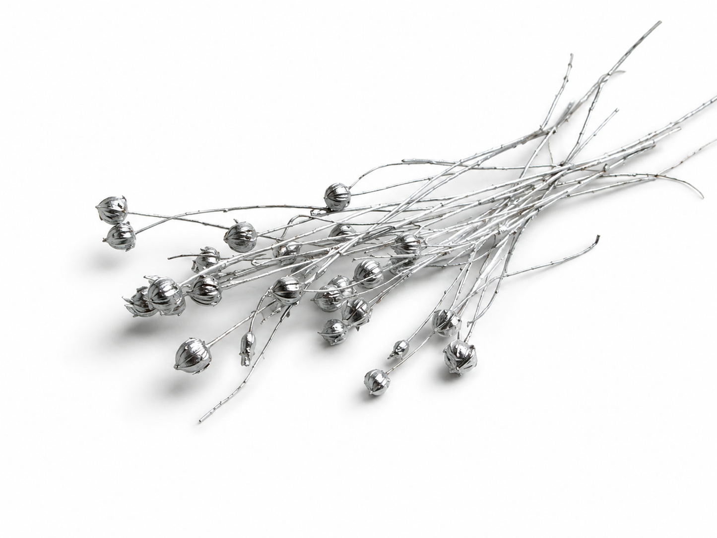 Flachs | Silber