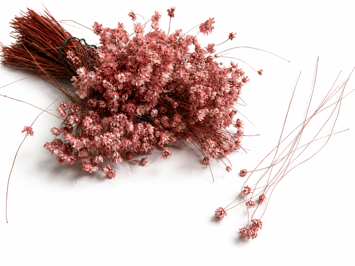 Marcelas | Blush