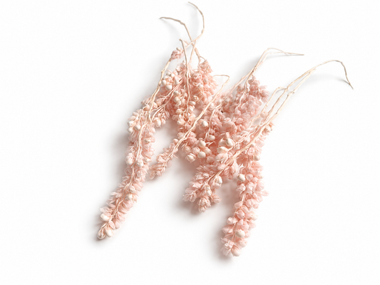 Rice | Pastellrosa