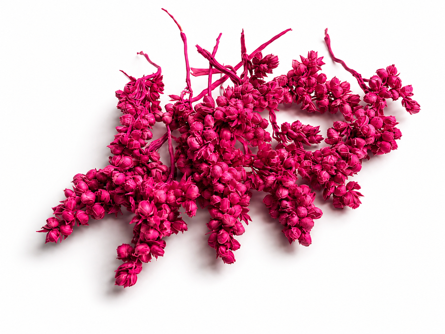 Rice | Cerise