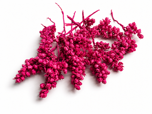 Rice | Cerise