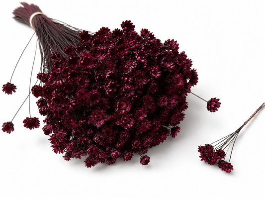 Glixia | Berry
