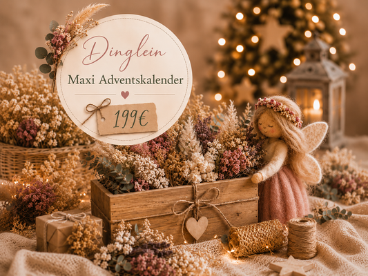 Dingleins Adventskalender | Maxi