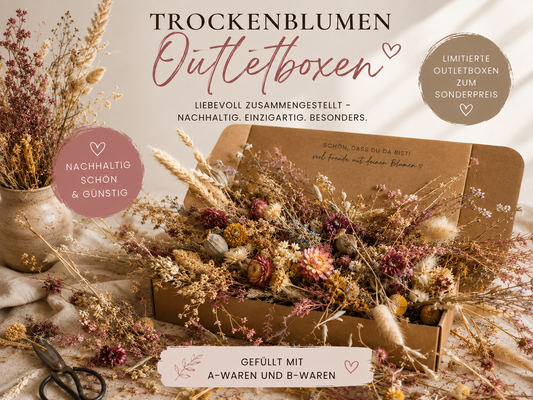 Outletboxen