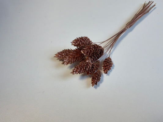 Phalaris | Copper