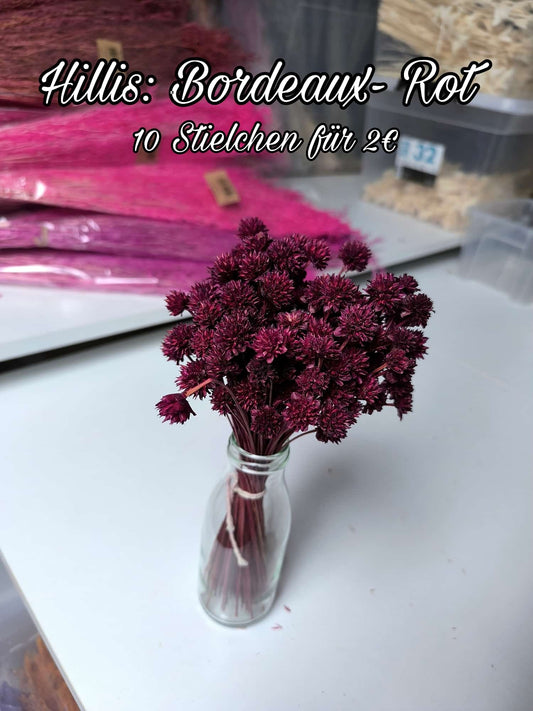 Hillis | Bordaux-Rot