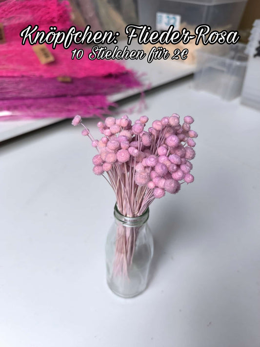 Knöpfchen | Flieder-Rosa