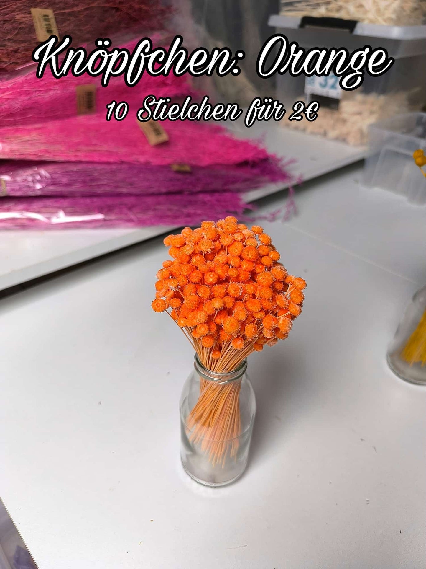 Knöpfchen | Orange