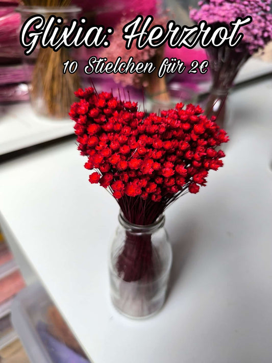 Glixia | Herzrot