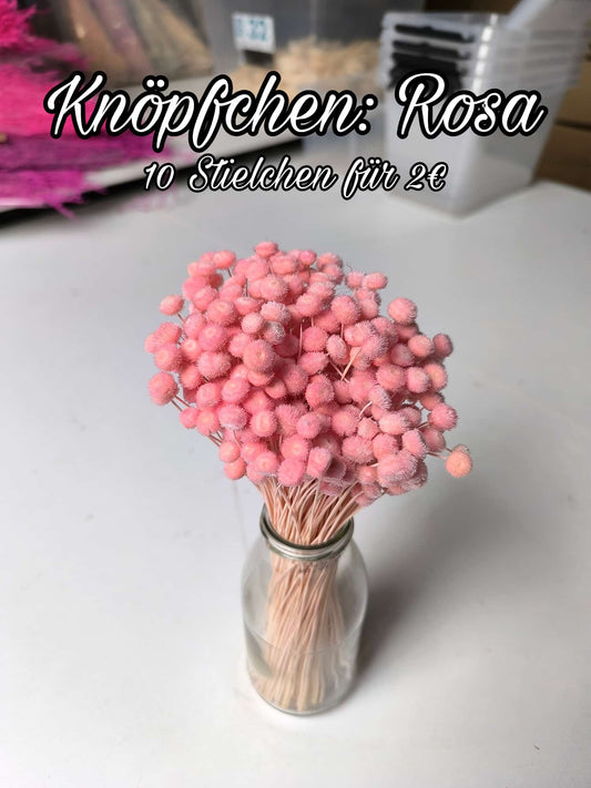 Knöpfchen | Rosa