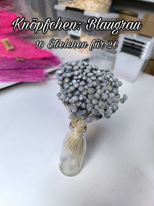 Knöpfchen | Blaugrau