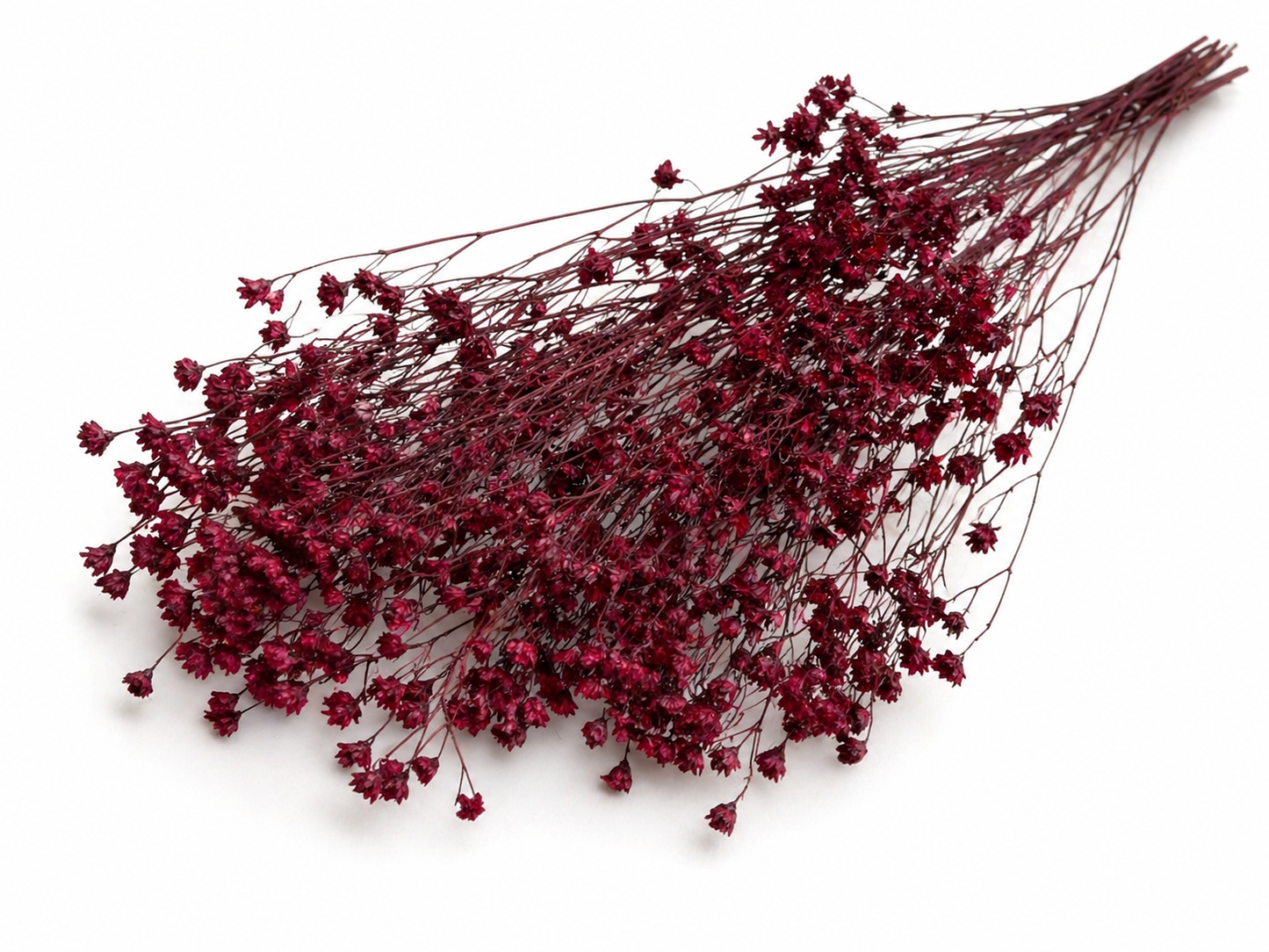 Broom | Berry