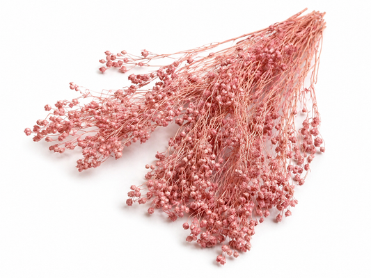 Broom | Blush