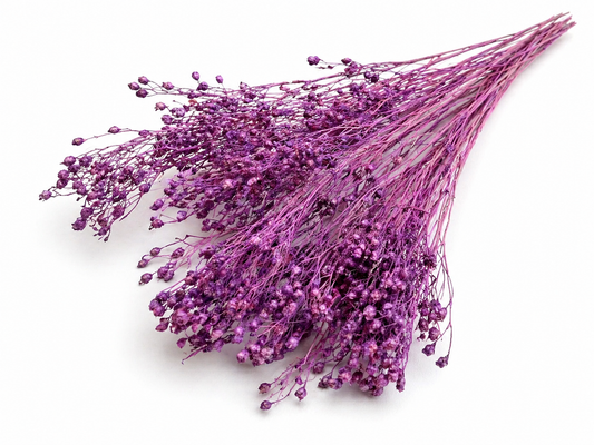 Broom | Dunkellila
