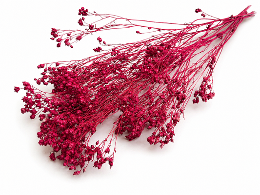 Broom | Dunkelpink