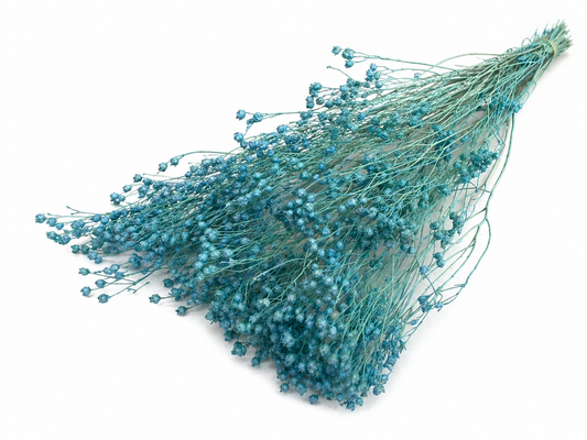 Broom | Eisblau