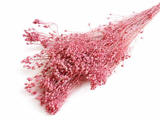Broom | Rosa-Pink