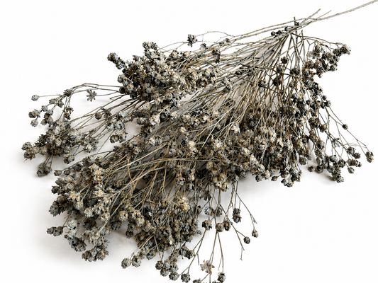 Broom | Grau-Braun