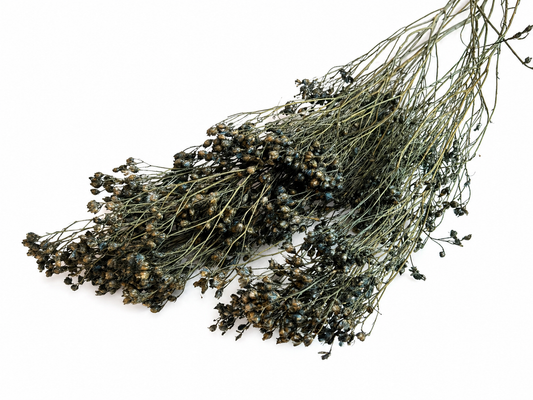 Broom | Grau-Grün