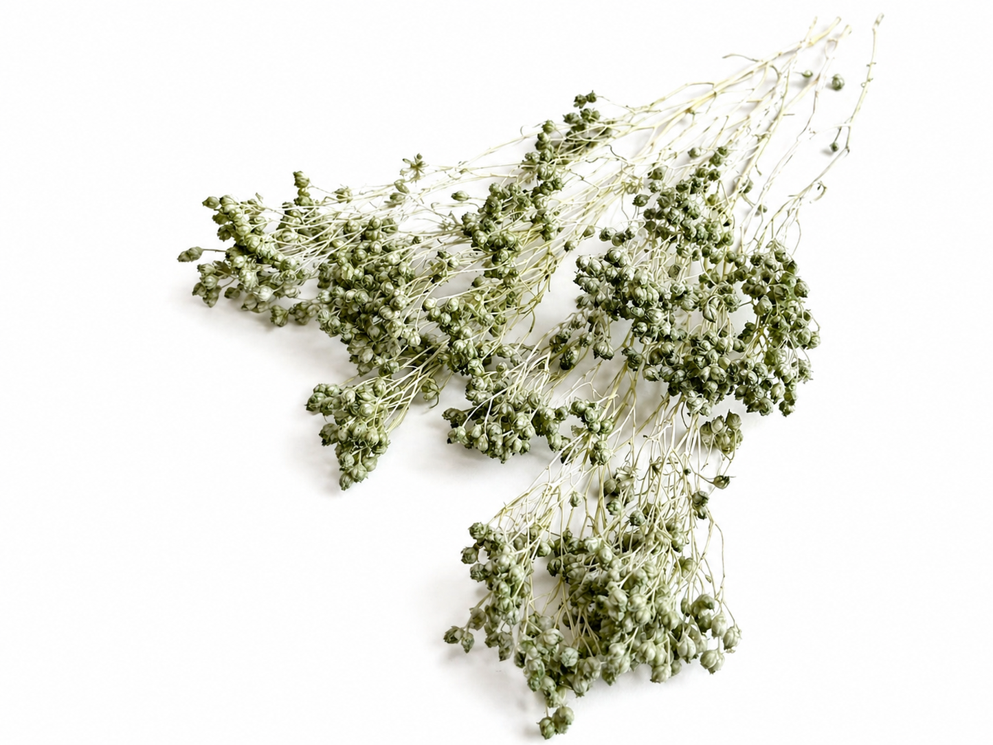 Broom | Mint