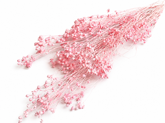Broom | Pastellrosa