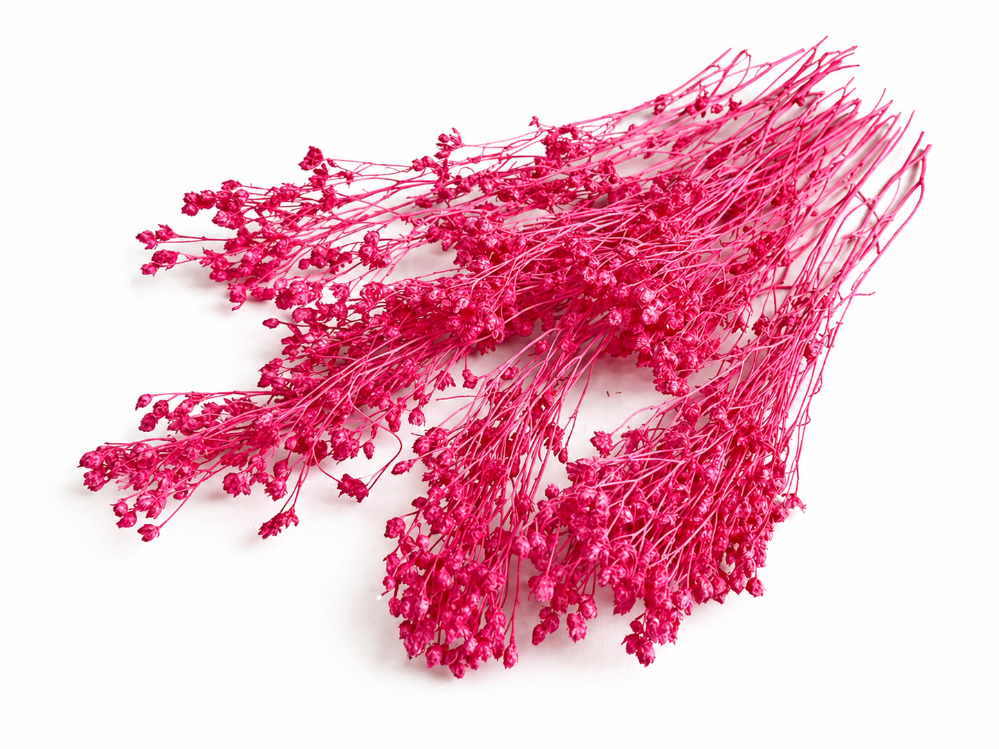 Broom | Pink