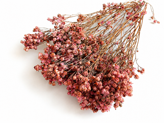 Broom | Rosenholz