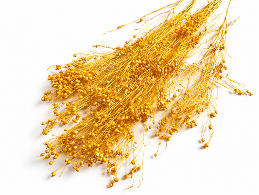 Broom | Sonnengelb