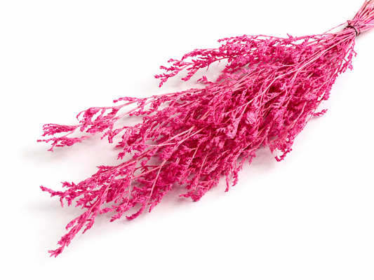 Caspi | Pink