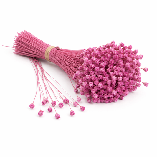 Jazilda Pink-Rosa