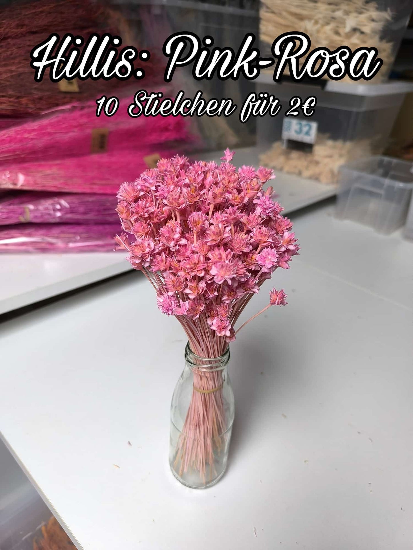 Hillis | Pink-Rosa