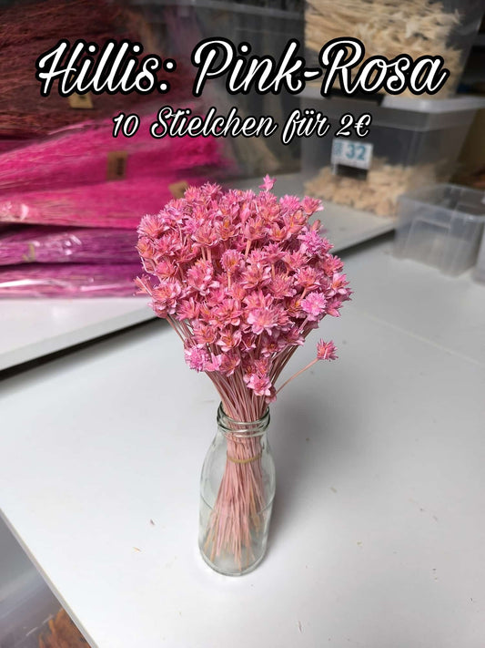 Hillis | Pink-Rosa