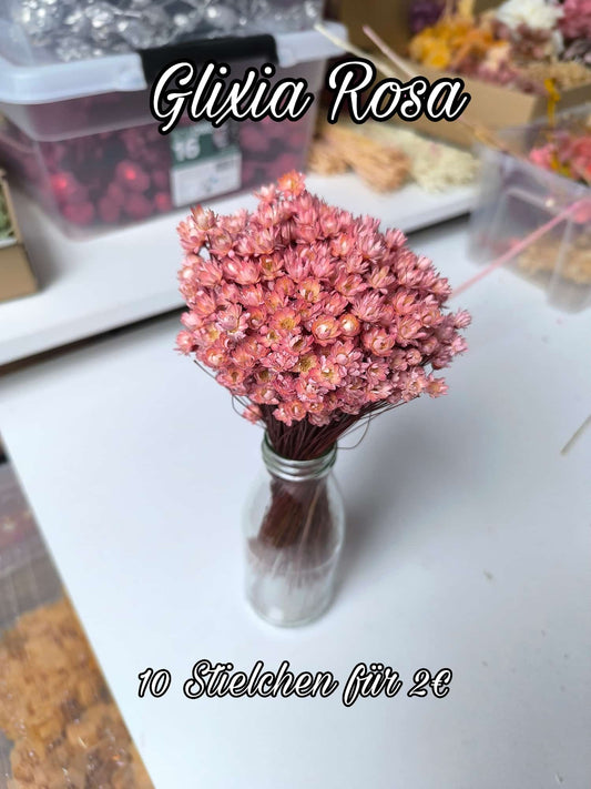 Glixia | Rosa
