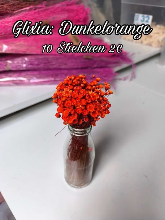 Glixia | Dunkelorange