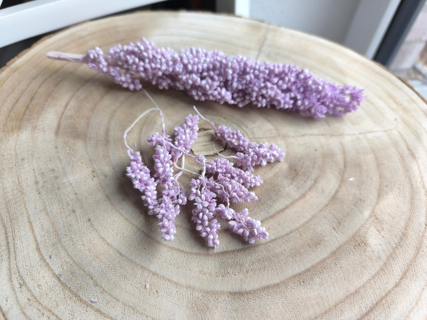 Rice | Flieder