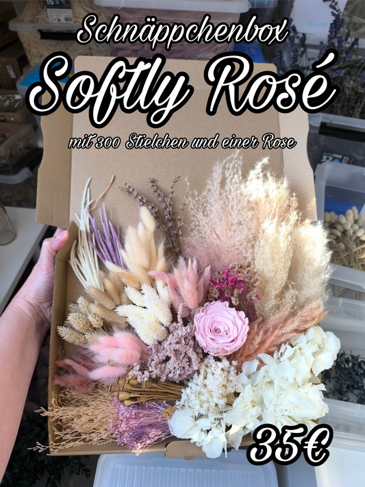 Box | Softly Rosé